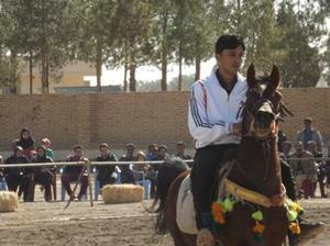 مسابقات کشوری زیبایی اسب در شهرستان میبد برگزار شد 