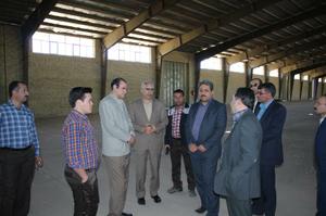 مدیرکل گمرک استان یزد از الکترونیکی شدن گمرک خبر داد