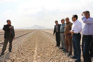 بازدید جمعی از مدیران ارشد راه آهن از بندرخشک پیشگامان 