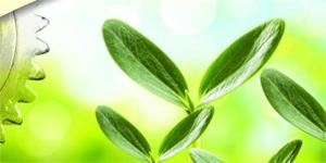 یا برای شروع یک کسب و کار موفق آماده هستید؟مدیریت 