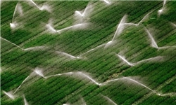 30 مجری سیستم‌های آبیاری نوین به عضویت انجمن صنفی آبیاری درآمده‌اند