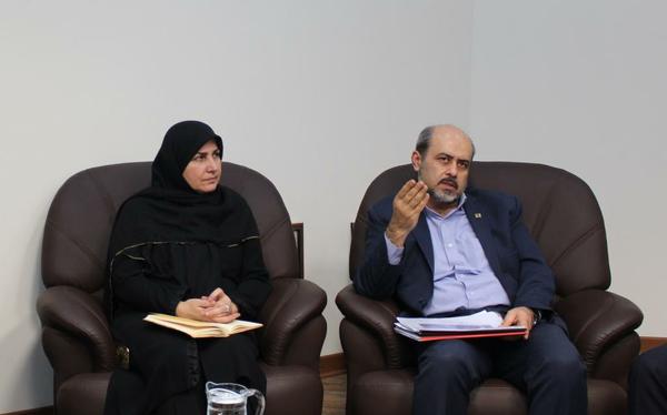 شوراي اطلاع رساني شركت شهركهاي صنعتي، اتاق فكري براي حمايت از صنايع كوچك و متوسط