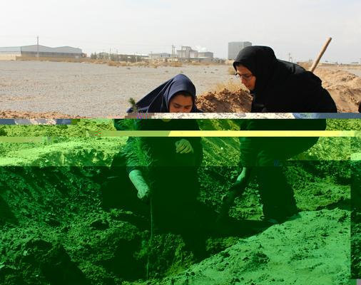 مراسم درختكاري در شهرك صنعتي مهريز با حضور دختران دانش آموز برگزار شد