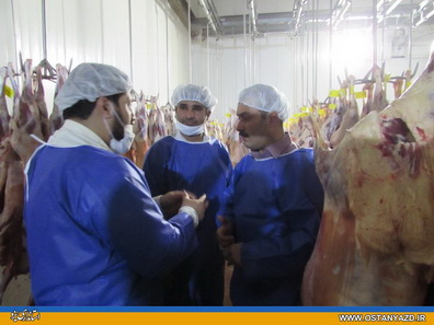 اقدامات لازم در راستای پیشگیری از شیوع تب کریمه کنگو صورت گرفته است 