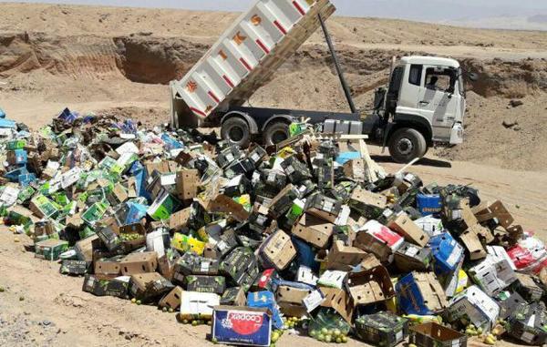 امحاء 51 تن انواع میوه قاچاق در یزد 