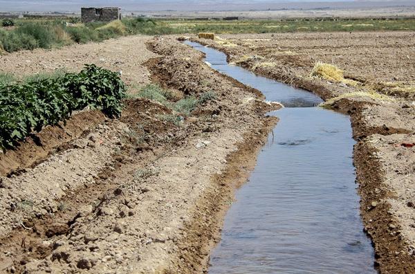 ۷۹ درصد ذخایر آب یزد در بخش کشاورزی مصرف می‌شود