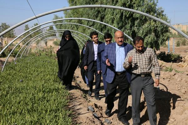 گزارش تصویری :بازدید کمیسیون خدمات شهری شورای اسلامی شهر از گلخانه شهرداری یزد