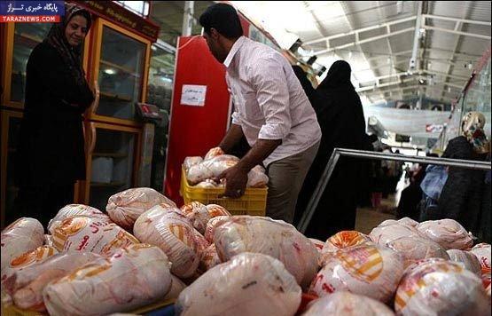 عرضه و فروش مرغ های زیر 800 گرم و بالای 2 کیلو و 200 گرم ممنوع