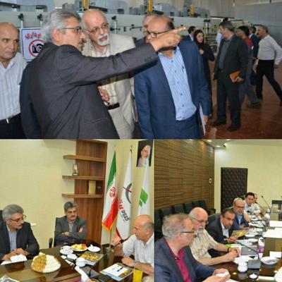 تاکید بر لزوم نهادینه شدن فرهنگ مصرف کاغذ سنگی