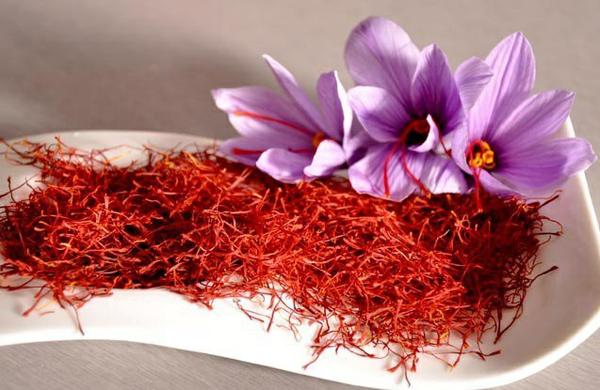 عرضه زعفران یزد با بسته‌بندی اسپانیایی در خارج!