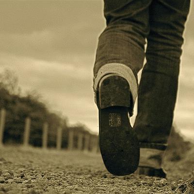 بتهای فرانسیس بیکن یا موانع فهم درست