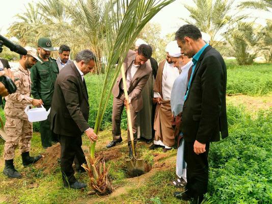 كاشت نهال توسط معاون استاندار و فرماندار ویژه در روزدرختكاری
