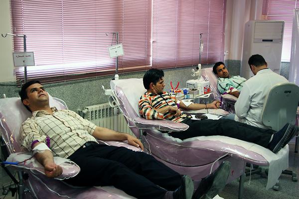 مدیرکل و کارکنان کتابخانه‌های عمومی استان یزد خون اهدا کردند