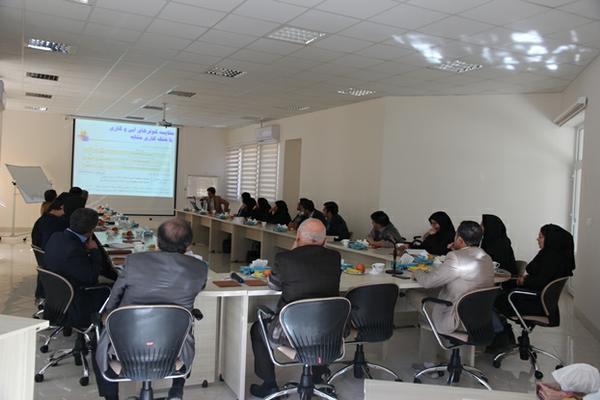 ارائه نتایج دو پروژه‌ مرکز پژوهش‌های خورشیدی برق منطقه‌ای یزد با رویکرد پسیو