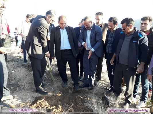 عملیات درختکاری در بام کوشک بافق اجرا شد 