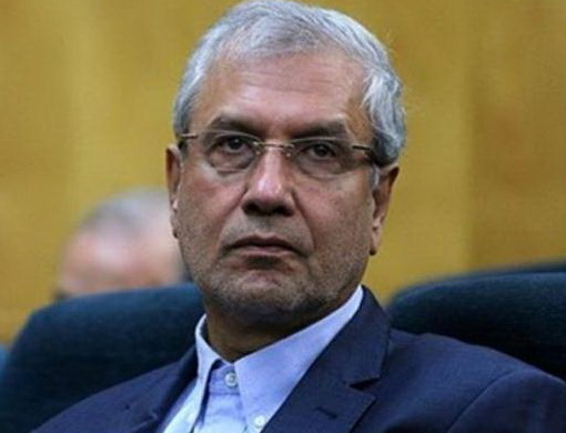 سخنگوی دولت:شهرداری ها و دولت خانه های ارزان قیمت برای زوج های جوان می سازند!!