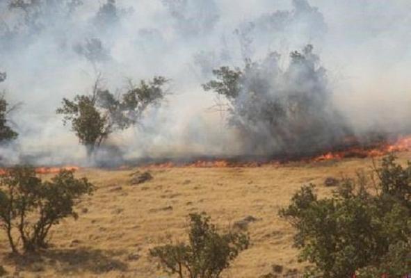 آتش به جان 40 هكتار از اراضي طبيعي افتاد