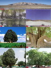 7 اثر از 14 اثر ثبت شده میراث طبیعی ایران در استان یزد وجود دارد