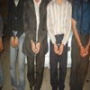 سارقين بين المللي پس از گذشت 24 ساعت وسط مأموران مبارزه با سرقت آگاهي  طبس دستگير و روانه زندان شدند. 