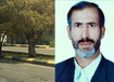 شمارش معکوس در خشکاندن درختهای بلوار شهید صدوقی