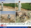  اختصاصی یزد فردا  احیاء قنات نقی آباد ابرکوه با همت اداره اوقاف و امور خیریه+عکس