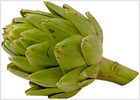 خواص گیاهان (1):آرتیشو (كنگر فرنگی) (Artichoke)