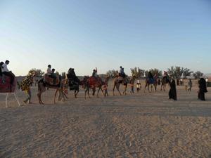 مسابقه شترسواری در بافق برگزار می شود