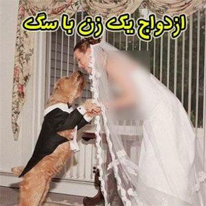 چند خبر سگی:ازدواج یک زن با سگش! (+عکس )و...
