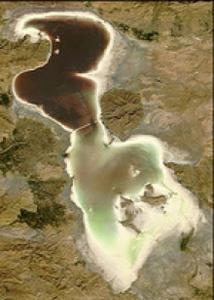 تهیه دارو از لجن دریاچه ارومیه! 