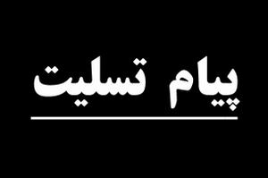 درگذشت حجت الاسلام افضلیان را تسلیت گفت
