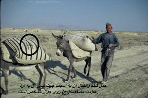 تفاوت یک احمق با دو احمق!!!