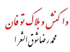 دیگ غیرت سایت «تابشنا- سپیدنا» دوران گرفت و جوش آمد!پشت پرده انتخابات (9(انتخابات مجلس هشتم49 ) 