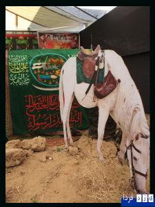 بنی اسد در هیئت ابوالفضلی شهرستان طبس+عکس