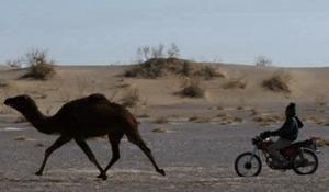 آماده سازی پیست مسابقات شترسواری کشوری در کویرحلوان