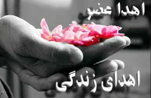 کودک هفت ساله طبسی به دیگران جان دوباره بخشید / همه در تشییع الناز نسایی شرکت می کنیم (19 نظر)