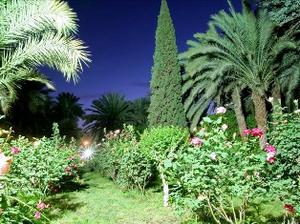 طبس آماده میزبانی از ۵۰ هزار نفر مسافر نوروزی است