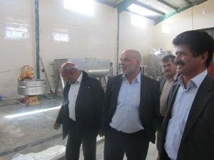 گزارش تصویری: بازدید مدیر عامل شرکت شهرکهای صنعتی استان یزد از ناحیه صنعتی پشتکوه