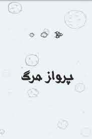 ناگفته‌های تکاندهنده از سقوط هواپیمای تهران-طبس/ پروازی که برای مرگ طراحی شد