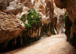 چشمه «مرتضی علی» طبس، ثبت ملي شد