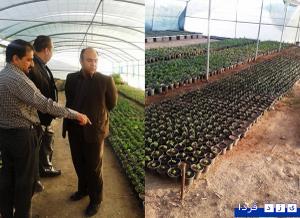 مهندس امین مقدم از نهالستان بهاران شهرداری یزد بازدید نمود.