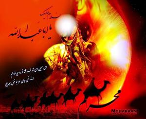 چرا امام حسین(ع) در کربلا برای رفع تشنگی از خداوند طلب باران نکرد؟