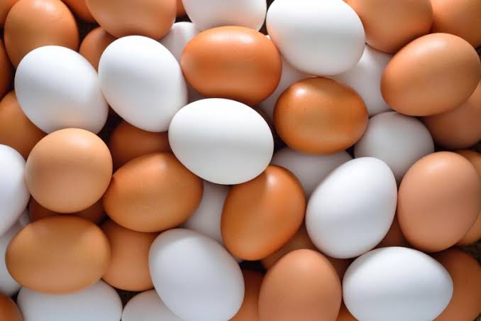 دلایل گرانی تخم مرغ در بازار چیست؟