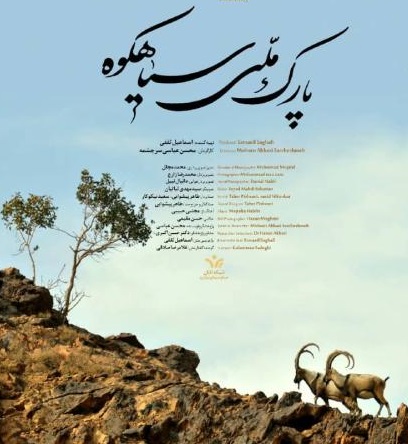 درخشش هنرمندان یزدی درجشنواره منطقه ای فیلم کوتاه وعکس کویر زندگی