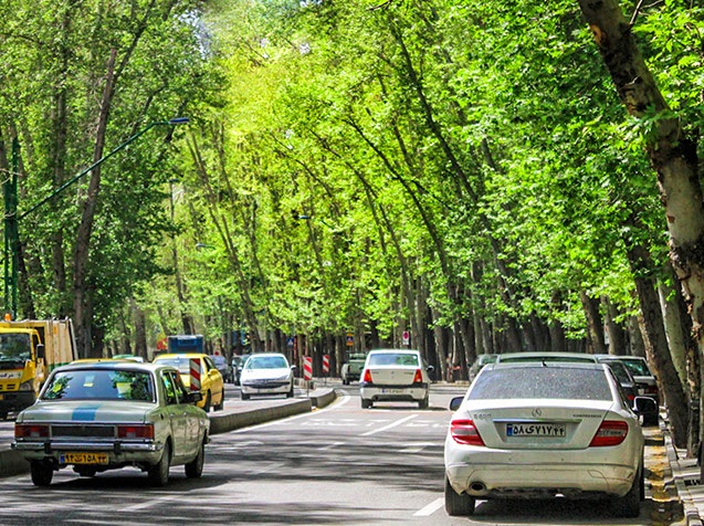 فیلم؛ زیباترین خیابان‌های ایران