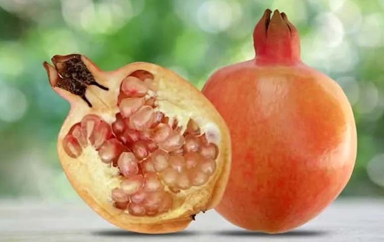 عارضهای که کام باغداران میبدی را تلخ کرد عارضهای که کام باغداران میبدی را تلخ کرد