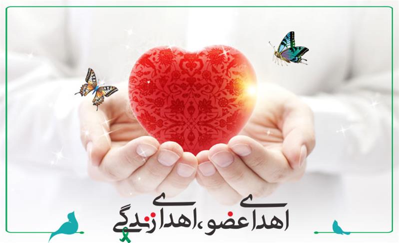 پنجمین اهدای عضو امسال در کرمان