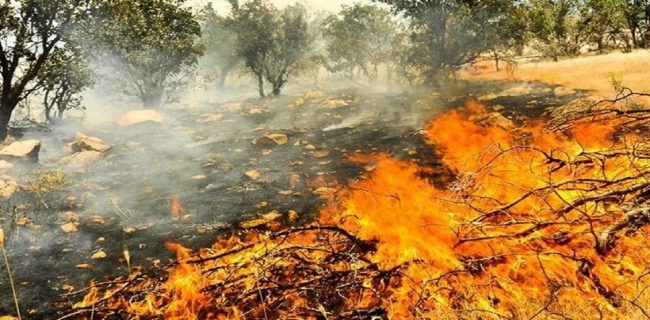 آتش سوزی در کمین مراتع استان یزد