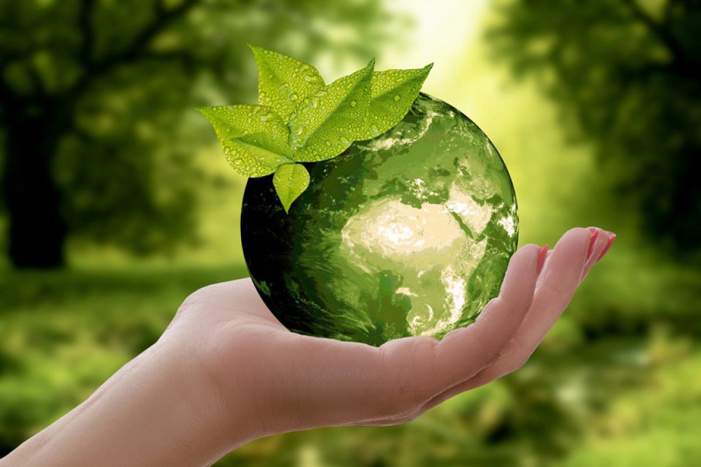 پاسداشت روز زمین پاک در یزد