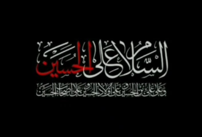 فیلم| موکب شرکت معدنی و صنعتی چادرملو در عمود 170 مسیر نجف به کربلا